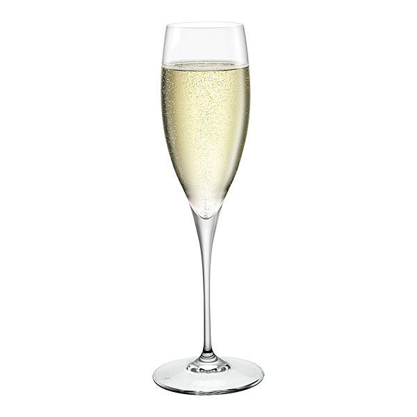 PREMIUM CAL 3 XLT SR 4 K 2 NG16 - Luxe Home