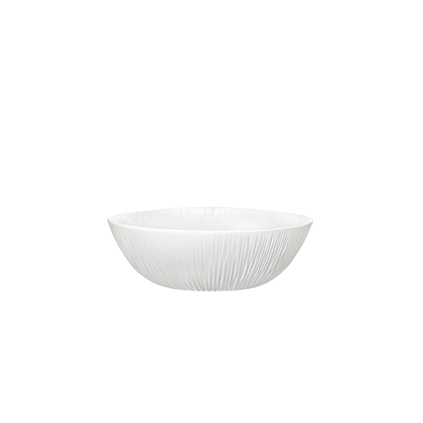 COCONUT COPPETTA 15 F 6 CT 12 NG16