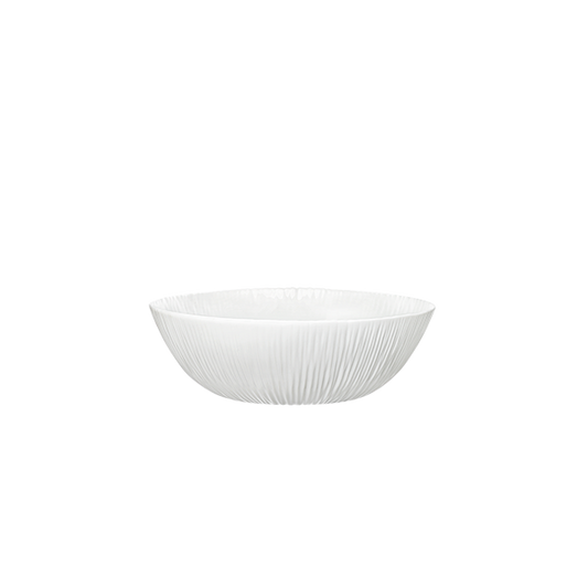 COCONUT COPPETTA 15  F 6 CT 12 NG16