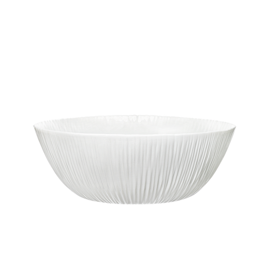 COCONUT INSALATIERA 23  F 6 CT 12 NG16
