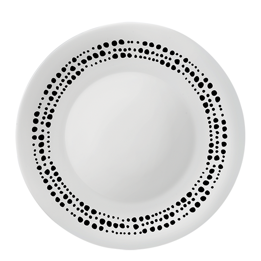 WHITE MOON PLATO LLANO 27  CHIAROSCU.SFERE  F 6/CT 24 NG16